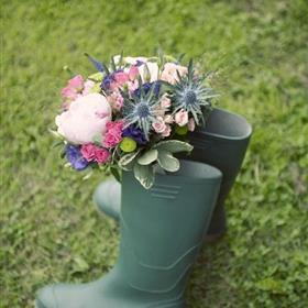 fwthumb1 (19).jpg